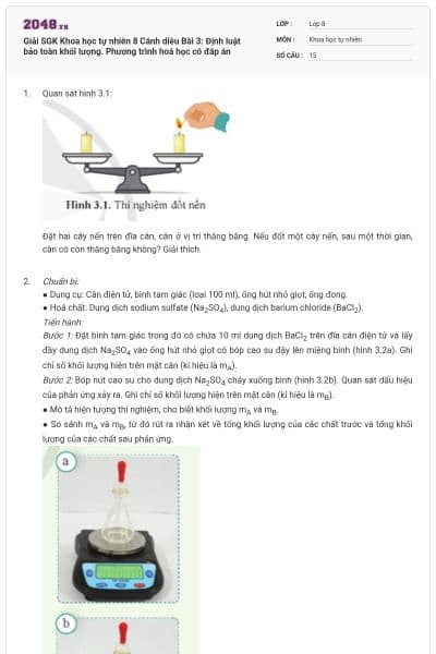 Giải SGK Khoa học tự nhiên 8 Cánh diều Bài 3: Định luật bảo toàn khối lượng. Phương trình hoá học có đáp án