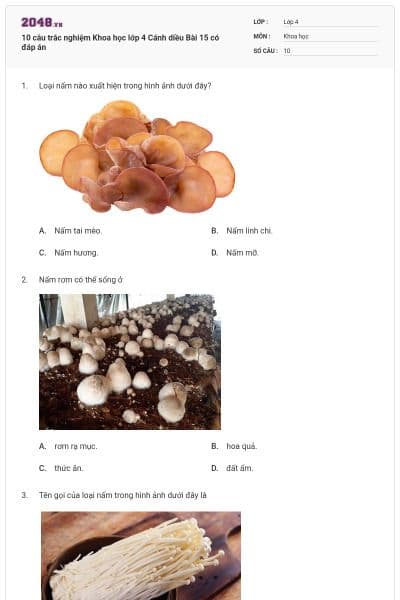 10 câu trắc nghiệm Khoa học lớp 4 Cánh diều Bài 15 có đáp án