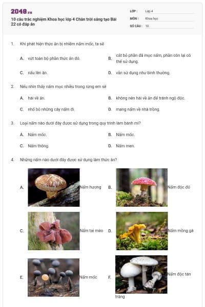 10 câu trắc nghiệm Khoa học lớp 4 Chân trời sáng tạo Bài 22 có đáp án