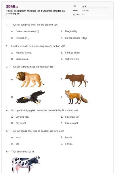 10 câu trắc nghiệm Khoa học lớp 4 Chân trời sáng tạo Bài 31 có đáp án