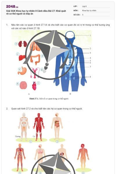 Giải SGK Khoa học tự nhiên 8 Cánh diều Bài 27: Khái quát về cơ thể người có đáp án