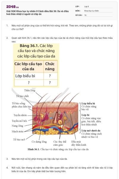 Giải SGK Khoa học tự nhiên 8 Cánh diều Bài 36: Da và điều hoà thân nhiệt ở người có đáp án