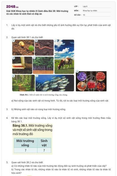 Giải SGK Khoa học tự nhiên 8 Cánh diều Bài 38: Môi trường và các nhân tố sinh thái có đáp án