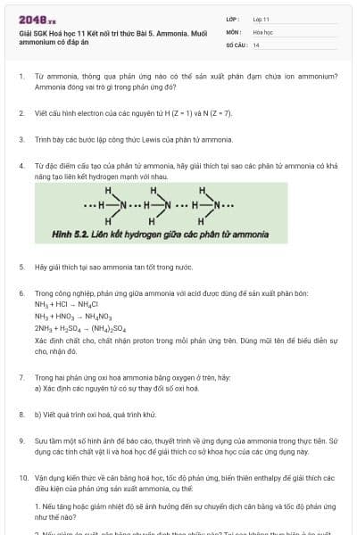 Giải SGK Hoá học 11 Kết nối tri thức Bài 5. Ammonia. Muối ammonium có đáp án