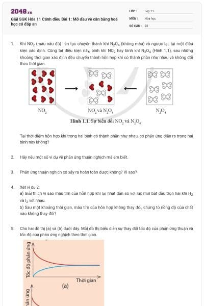 Giải SGK Hóa 11 Cánh diều Bài 1: Mở đầu về cân bằng hoá học có đáp an
