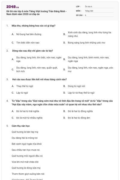 Đề thi vào lớp 6 môn Tiếng Việt trường Trần Đăng Ninh - Nam Định năm 2020 có đáp án