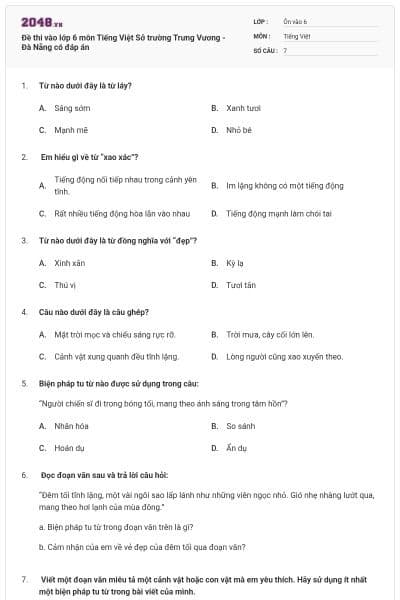Đề thi vào lớp 6 môn Tiếng Việt Sở trường Trưng Vương -  Đà Nẵng có đáp án