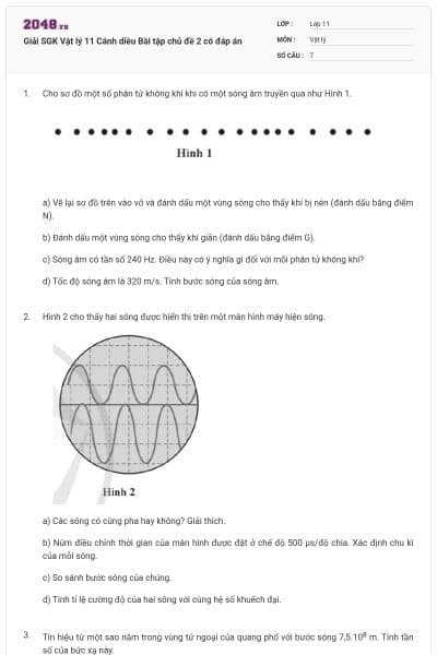 Giải SGK Vật lý 11 Cánh diều Bài tập chủ đề 2 có đáp án