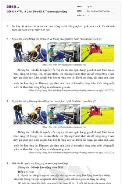 Giải SGK KTPL 11 Cánh Diều Bài 3: Thị trường lao động