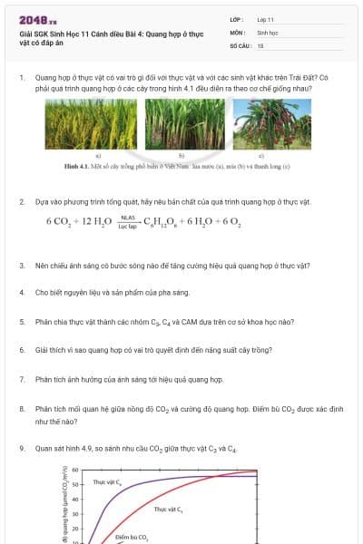 Giải SGK Sinh Học 11 Cánh diều Bài 4: Quang hợp ở thực vật có đáp án
