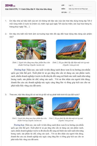 Giải SGK KTPL 11 Cánh Diều Bài 9: Văn hóa tiêu dùng