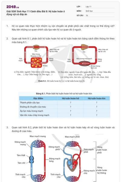 Giải SGK Sinh Học 11 Cánh diều Bài 8: Hệ tuần hoàn ở động vật có đáp án
