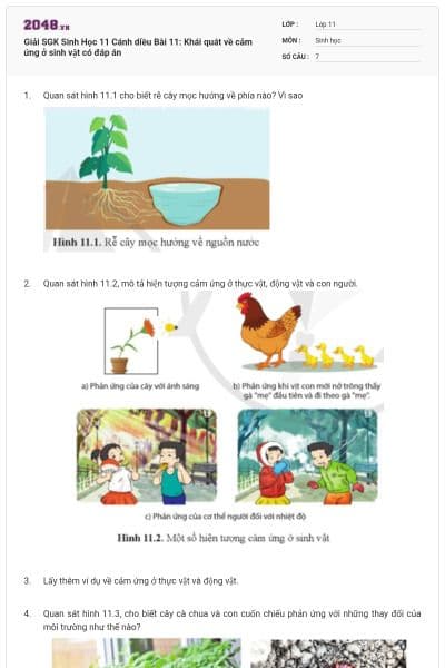 Giải SGK Sinh Học 11 Cánh diều Bài 11: Khái quát về cảm ứng ở sinh vật có đáp án