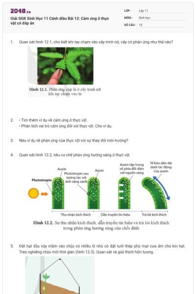 Giải SGK Sinh Học 11 Cánh diều Bài 12: Cảm ứng ở thực vật có đáp án