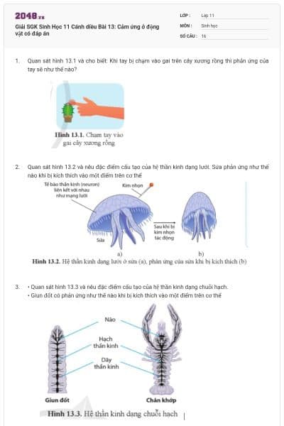 Giải SGK Sinh Học 11 Cánh diều Bài 13: Cảm ứng ở động vật có đáp án