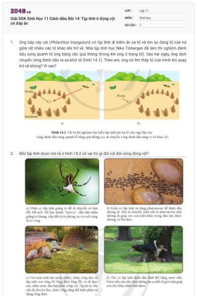 Giải SGK Sinh Học 11 Cánh diều Bài 14: Tập tính ở động vật có đáp án