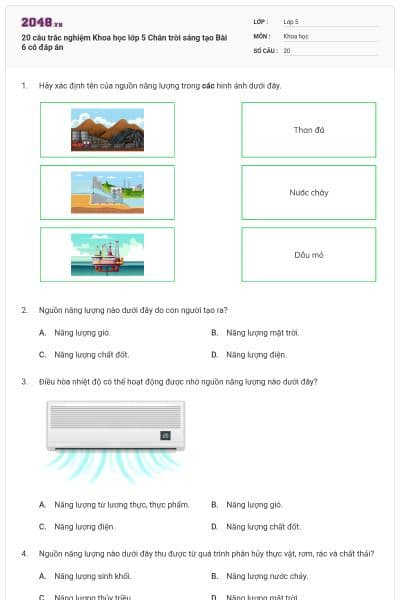 20 câu trắc nghiệm Khoa học lớp 5 Chân trời sáng tạo Bài 6 có đáp án