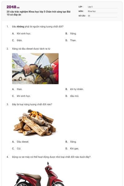 20 câu trắc nghiệm Khoa học lớp 5 Chân trời sáng tạo Bài 10 có đáp án
