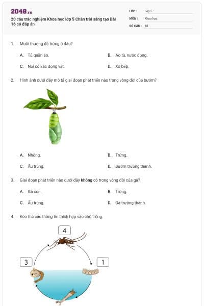 20 câu trắc nghiệm Khoa học lớp 5 Chân trời sáng tạo Bài 16 có đáp án