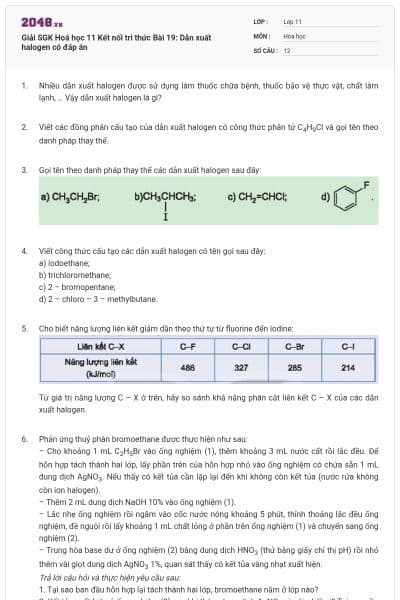 Giải SGK Hoá học 11 Kết nối tri thức Bài 19: Dẫn xuất halogen có đáp án