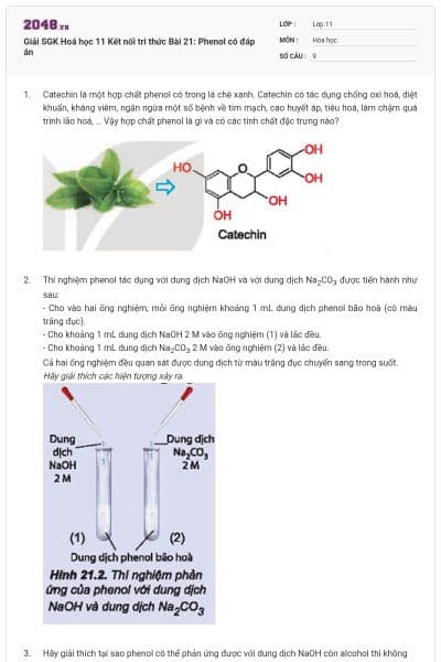 Giải SGK Hoá học 11 Kết nối tri thức Bài 21: Phenol có đáp án