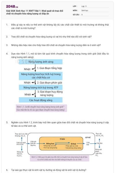 Giải SGK Sinh Học 11 KNTT Bài 1: Khái quát về trao đổi chất và chuyển hóa năng lượng có đáp án