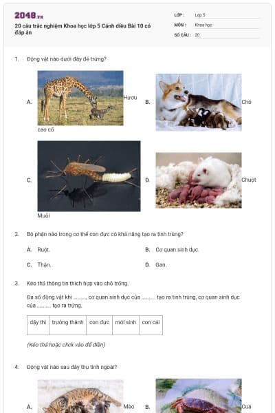 20 câu trắc nghiệm Khoa học lớp 5 Cánh diều Bài 10 có đáp án