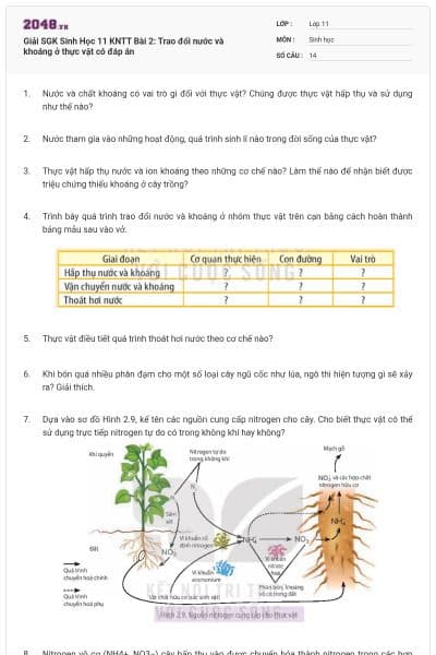 Giải SGK Sinh Học 11 KNTT Bài 2: Trao đổi nước và khoáng ở thực vật có đáp án