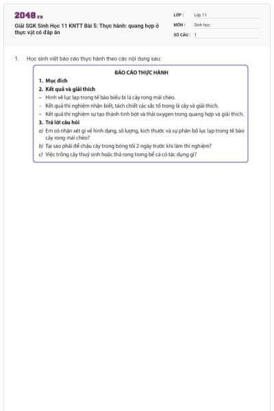 Giải SGK Sinh Học 11 KNTT Bài 5: Thực hành: quang hợp ở thực vật có đáp án