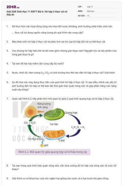 Giải SGK Sinh Học 11 KNTT Bài 6: Hô hấp ở thực vật có đáp án