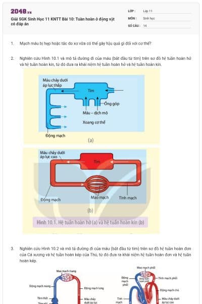 Giải SGK Sinh Học 11 KNTT Bài 10: Tuần hoàn ở động vật có đáp án