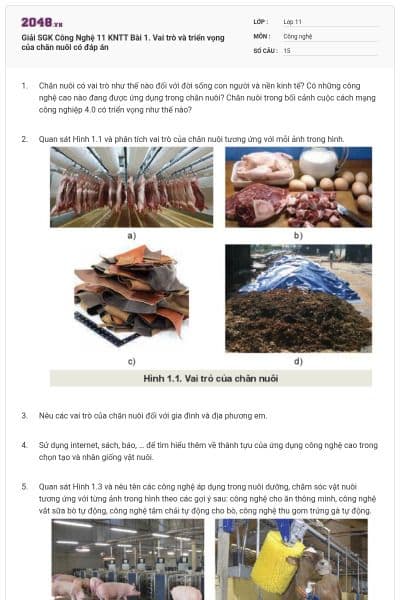 Giải SGK Công Nghệ 11 KNTT Bài 1. Vai trò và triển vọng của chăn nuôi có đáp án