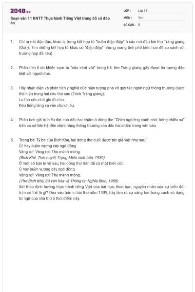 Soạn văn 11 KNTT Thực hành Tiếng Việt trang 65 có đáp án