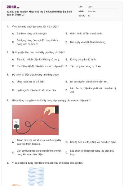 12 câu trắc nghiệm Khoa học lớp 5 Kết nối tri thức Bài 8 có đáp án (Phần 2)