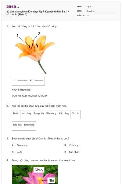 22 câu trắc nghiệm Khoa học lớp 5 Kết nối tri thức Bài 13 có đáp án (Phần 2)