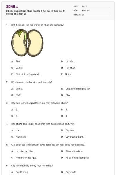 20 câu trắc nghiệm Khoa học lớp 5 Kết nối tri thức Bài 14 có đáp án (Phần 2)