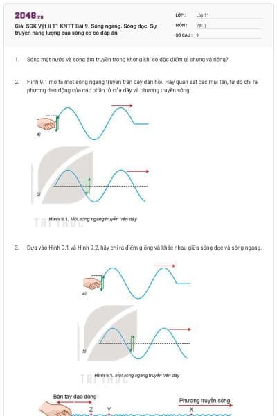 Giải SGK Vật lí 11 KNTT Bài 9. Sóng ngang. Sóng dọc. Sự truyền năng lượng của sóng cơ có đáp án