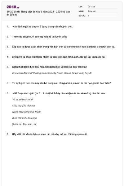 Bộ 20 đề thi Tiếng Việt ôn vào 6 năm 2023 - 2024 có đáp án (Đề 5)