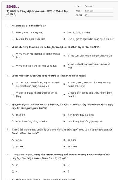 Bộ 20 đề thi Tiếng Việt ôn vào 6 năm 2023 - 2024 có đáp án (Đề 6)