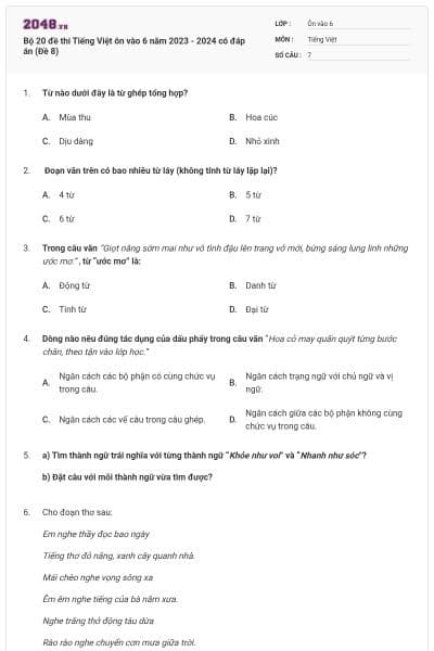 Bộ 20 đề thi Tiếng Việt ôn vào 6 năm 2023 - 2024 có đáp án (Đề 8)