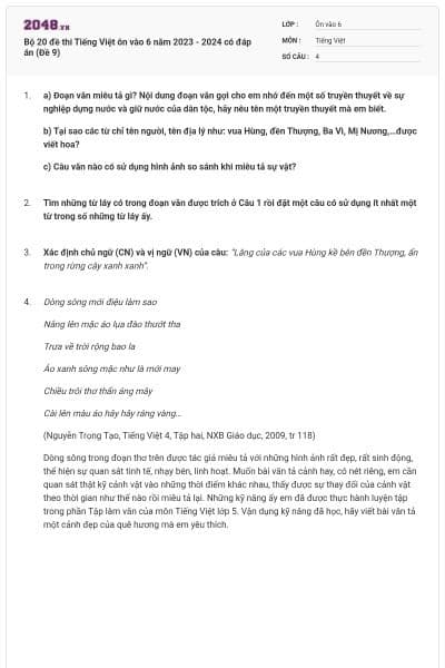 Bộ 20 đề thi Tiếng Việt ôn vào 6 năm 2023 - 2024 có đáp án (Đề 9)