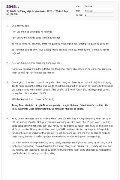 Bộ 20 đề thi Tiếng Việt ôn vào 6 năm 2023 - 2024 có đáp án (Đề 13)