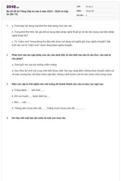 Bộ 20 đề thi Tiếng Việt ôn vào 6 năm 2023 - 2024 có đáp án (Đề 15)