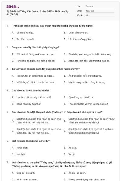 Bộ 20 đề thi Tiếng Việt ôn vào 6 năm 2023 - 2024 có đáp án (Đề 16)