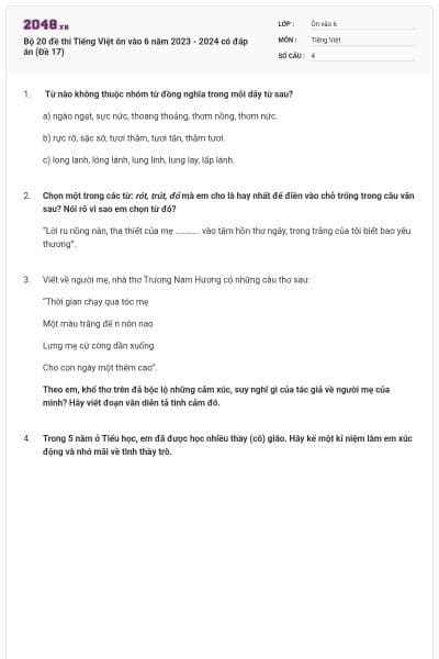 Bộ 20 đề thi Tiếng Việt ôn vào 6 năm 2023 - 2024 có đáp án (Đề 17)