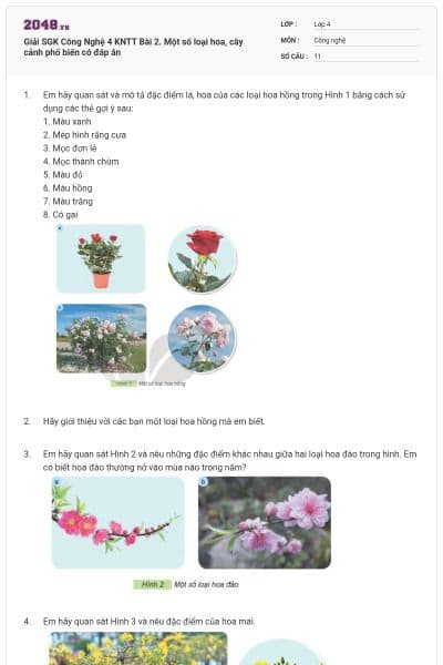 Giải SGK Công Nghệ 4 KNTT Bài 2. Một số loại hoa, cây cảnh phổ biến có đáp án