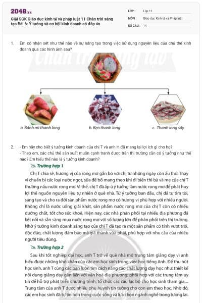 Giải SGK Giáo dục kinh tế và pháp luật 11 Chân trời sáng tạo Bài 6: Ý tưởng và cơ hội kinh doanh có đáp án