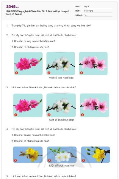 Giải SGK Công nghệ 4 Cánh diều Bài 2. Một số loại hoa phổ biến có đáp án