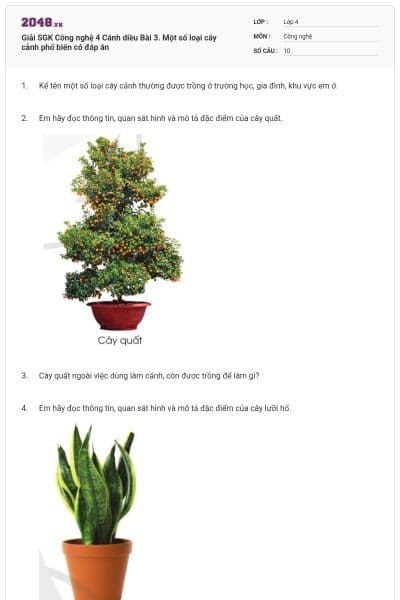 Giải SGK Công nghệ 4 Cánh diều Bài 3. Một số loại cây cảnh phổ biến có đáp án