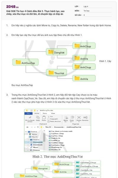 Giải SGK Tin học 4 Cánh diều Bài 3. Thực hành tạo, sao chép, xóa thư mục và đổi tên, di chuyển tệp có đáp án